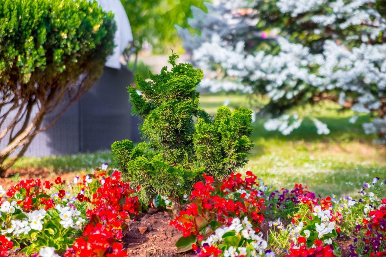 Garden Paradise App Sveti Vid-Miholjice Екстер'єр фото