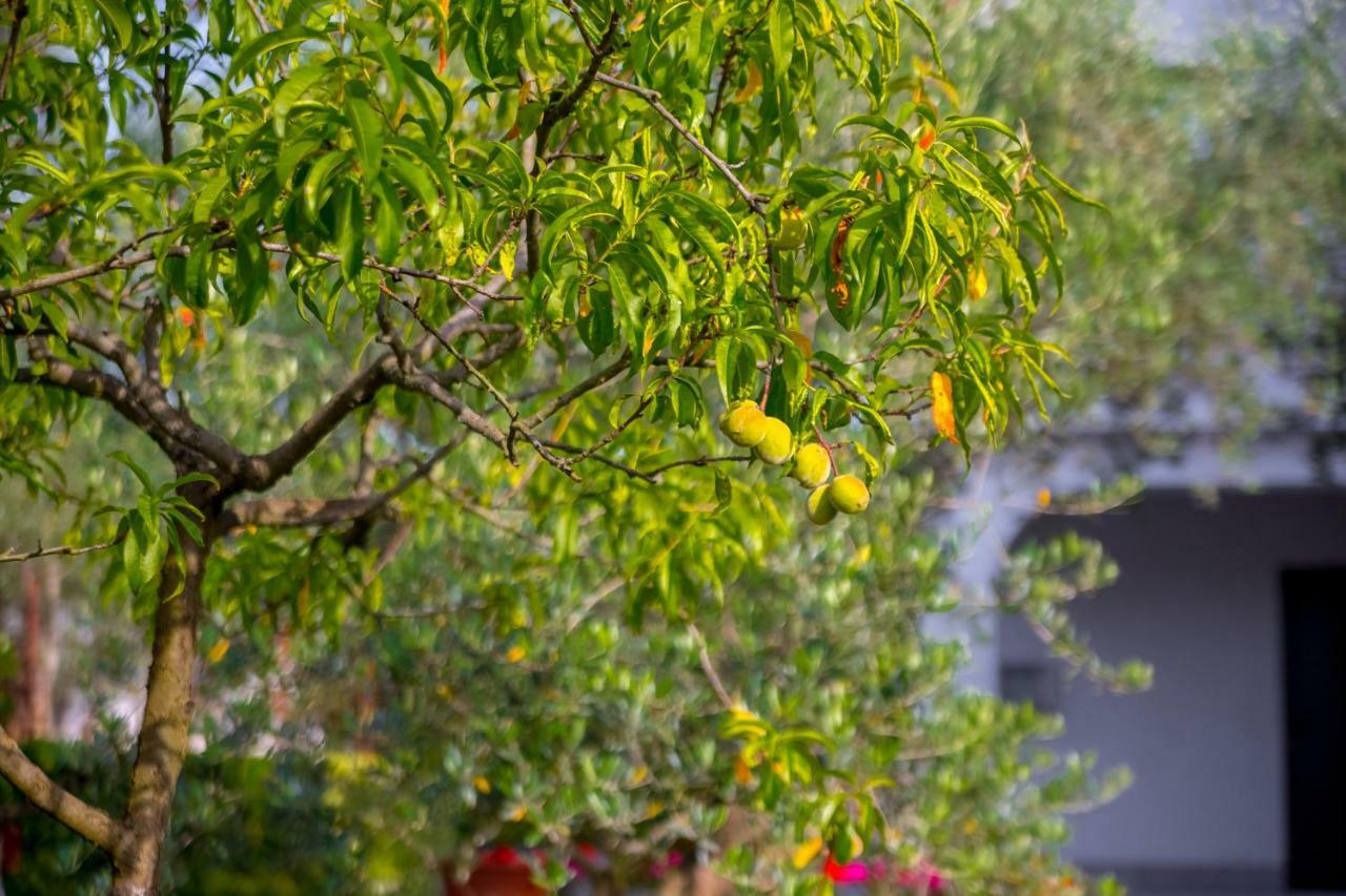 Garden Paradise App Sveti Vid-Miholjice Екстер'єр фото